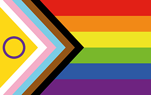 Inclusion flag
